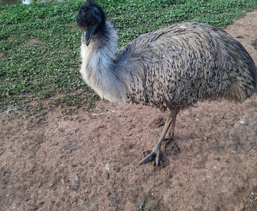 Taralga Wildlife Park-Taralga必去景点