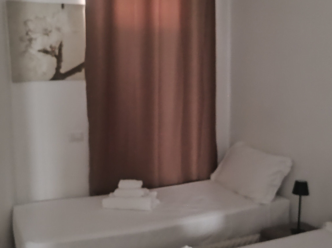 B&B Bianco Pineta主图