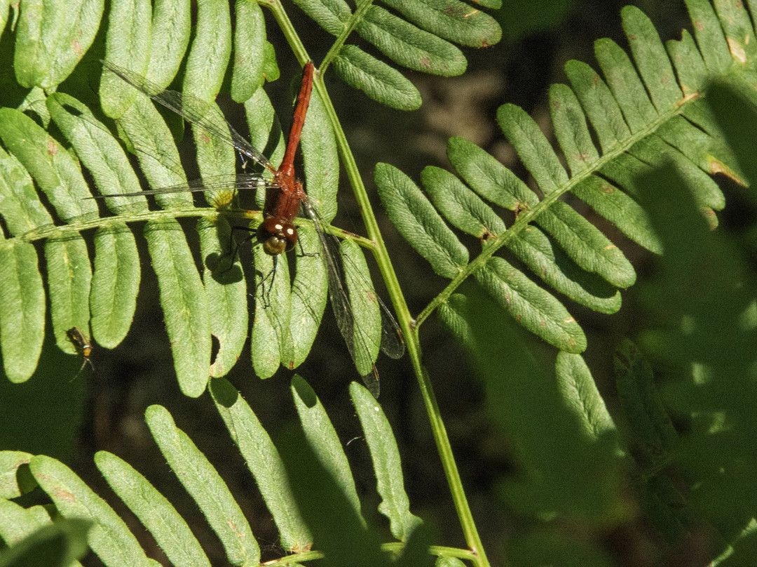 Navarino Nature Center-Shiocton必去景点