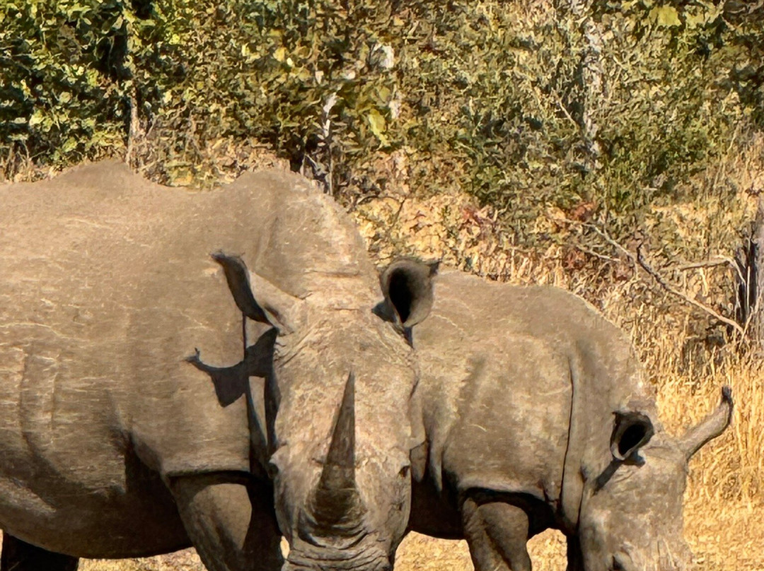 Mosi-oa-Tunya National Park-李文斯顿必去景点