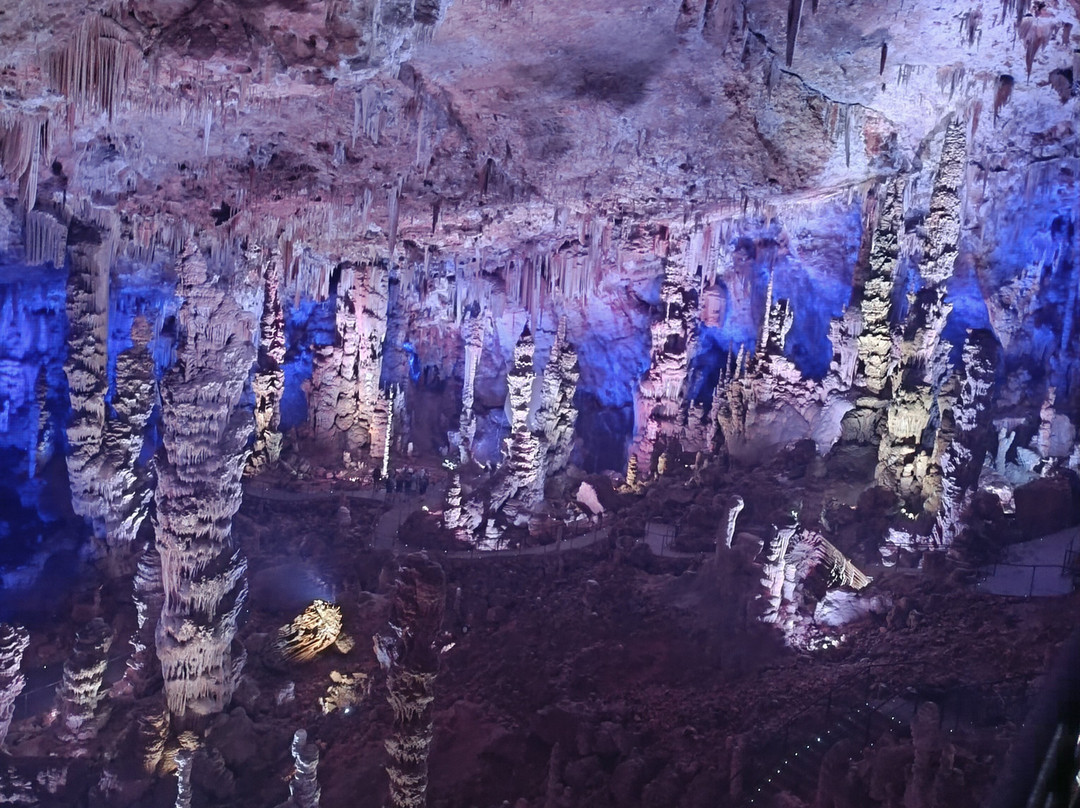 Grotte de la Salamandre-Mejannes-le-Clap必去景点