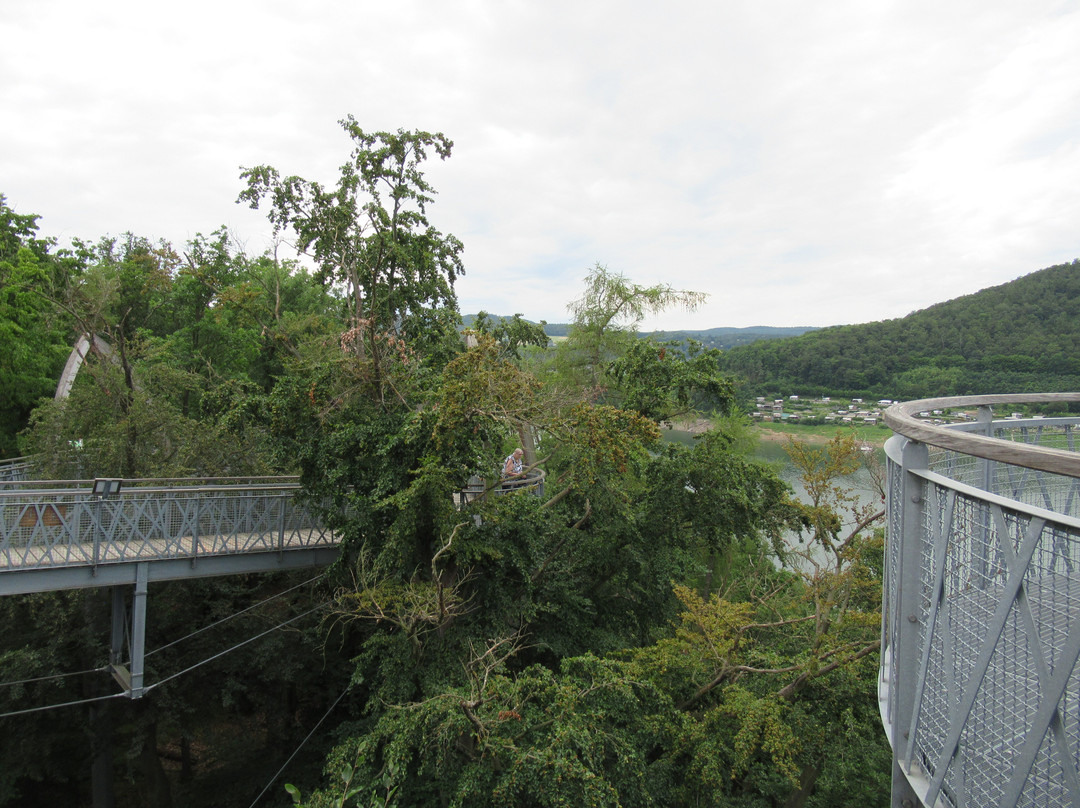 Baumkronenweg Edersee-Edertal必去景点