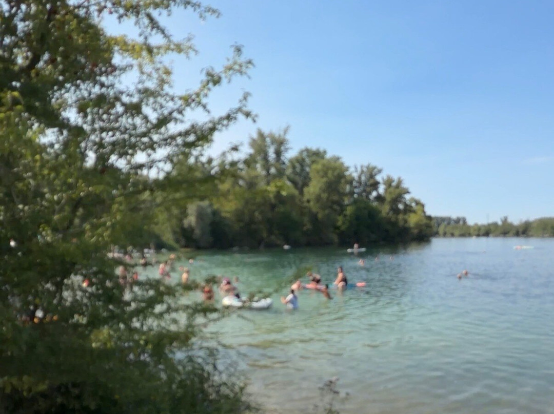Silbersee-Bobenheim-Roxheim必去景点