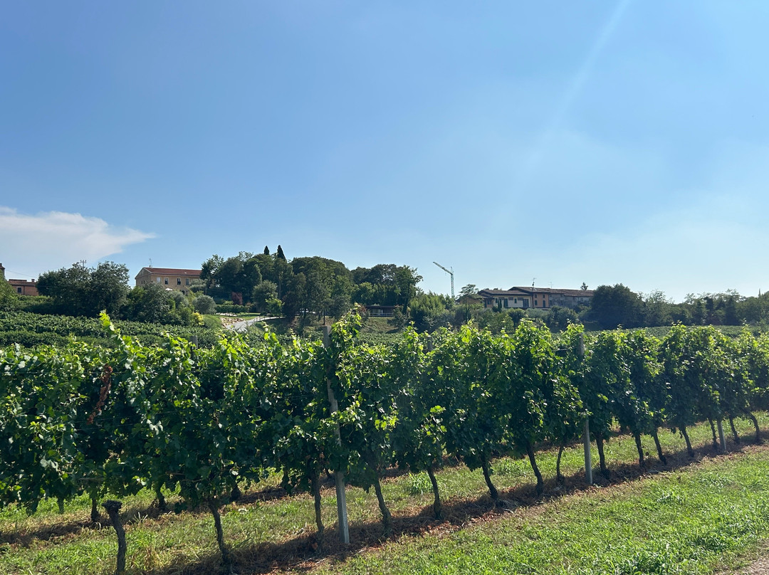Agriturismo Corte Zenati主图