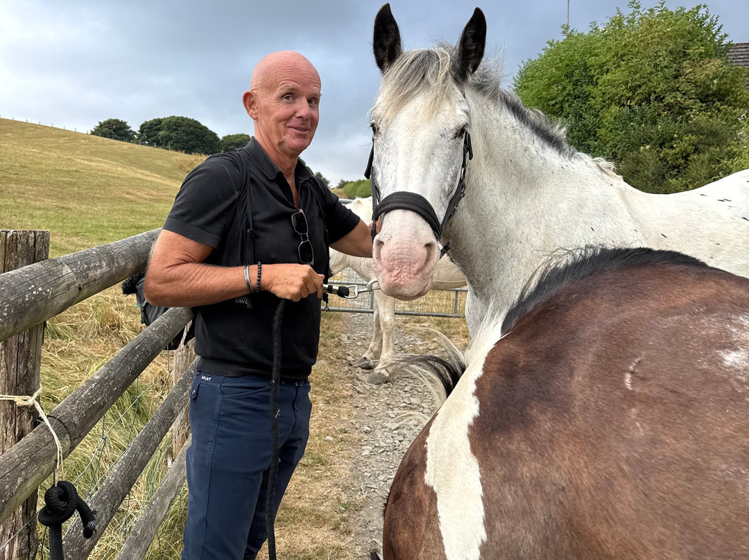 Freerein Riding Holidays-Clyro必去景点