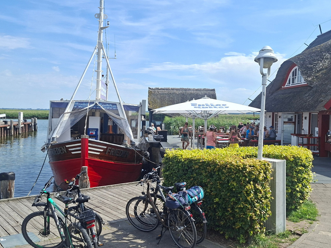 Futter Kutter, Hafen Zingst