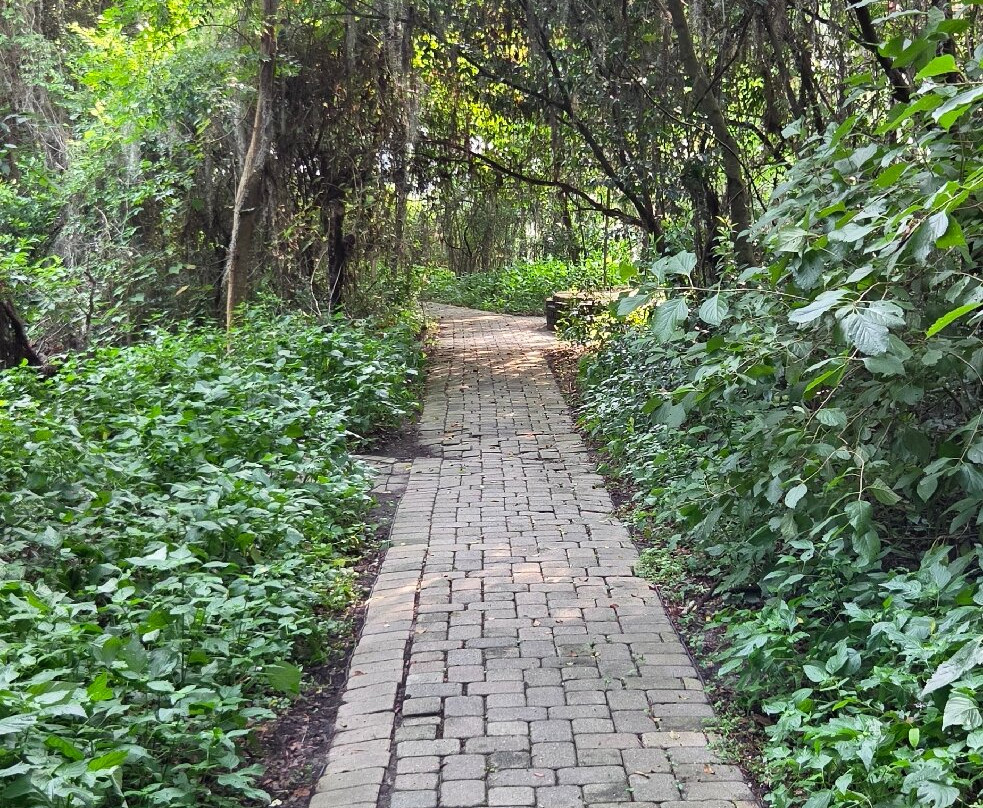 Savannah National Wildlife Refuge-Hardeeville必去景点