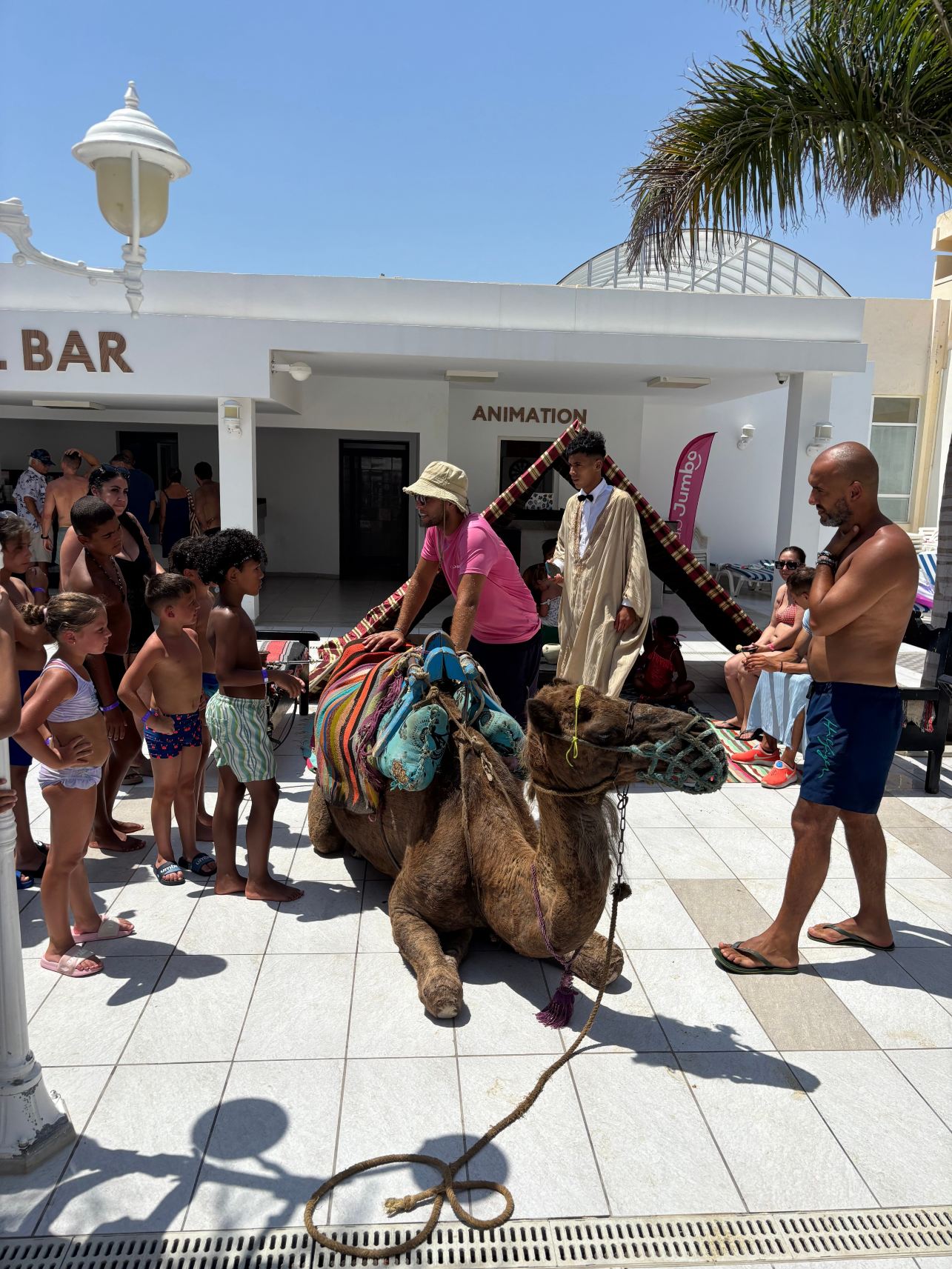 达累斯萨拉姆酒店‘-旅行者