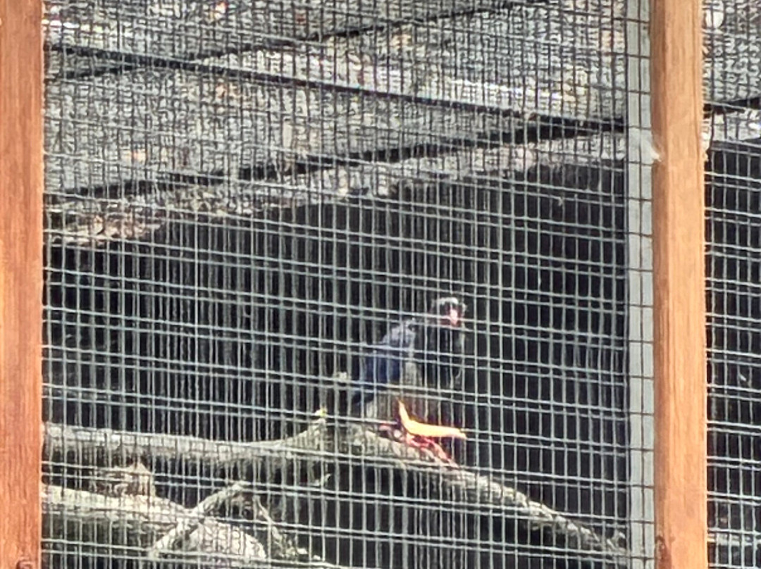 Askham Bryan Wildlife & Conservation Park-约克必去景点