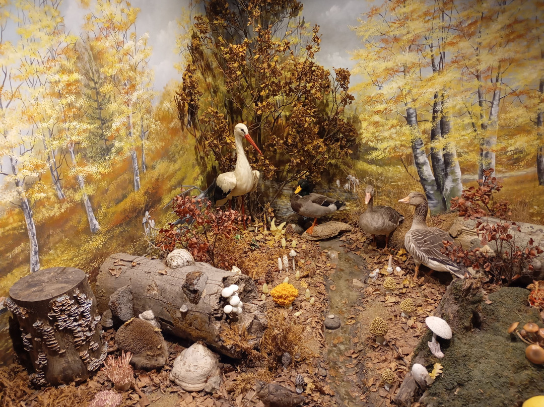 Natural History Museum of Meteora & Mushroom Museum-卡兰巴卡必去景点