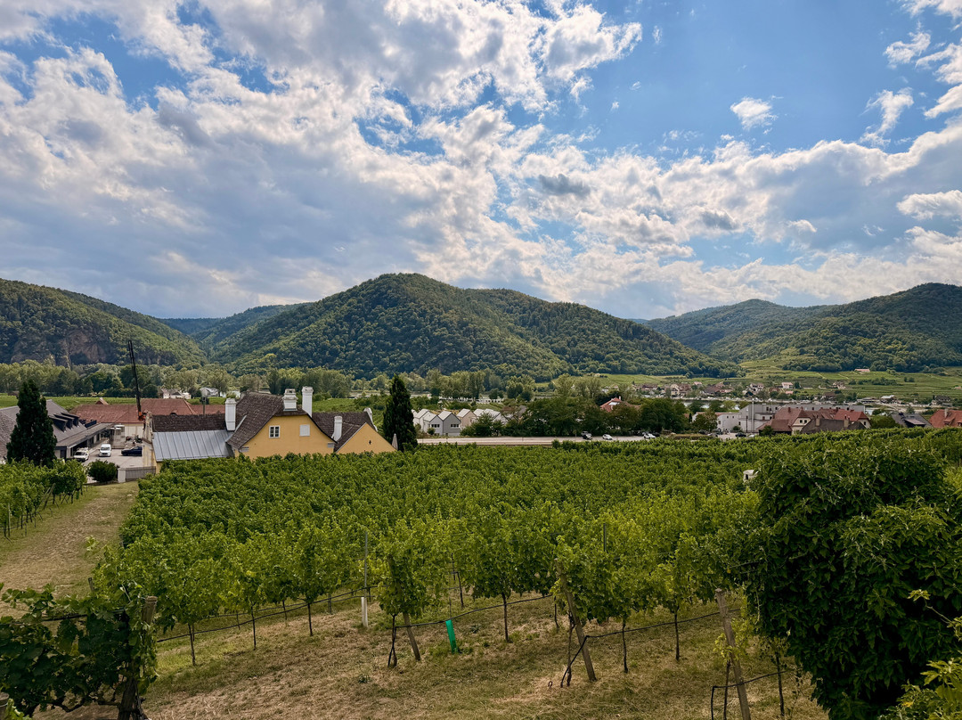Domane Wachau Vinothek & Shop-都恩石必去景点