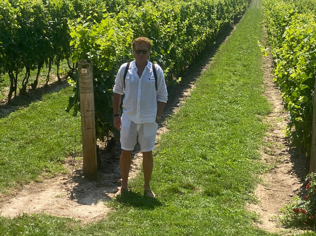 Two Sisters Vineyards-滨湖尼亚加拉必去景点