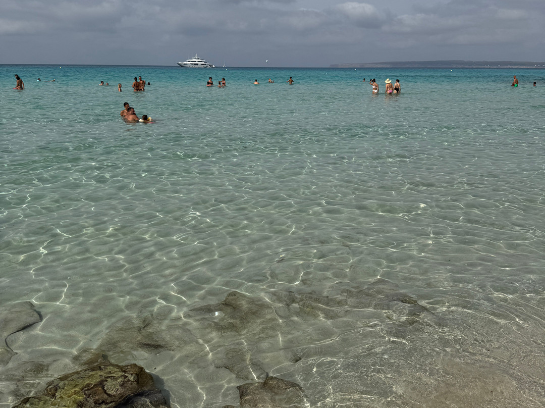 Platja Des Arenals-福门特拉岛必去景点