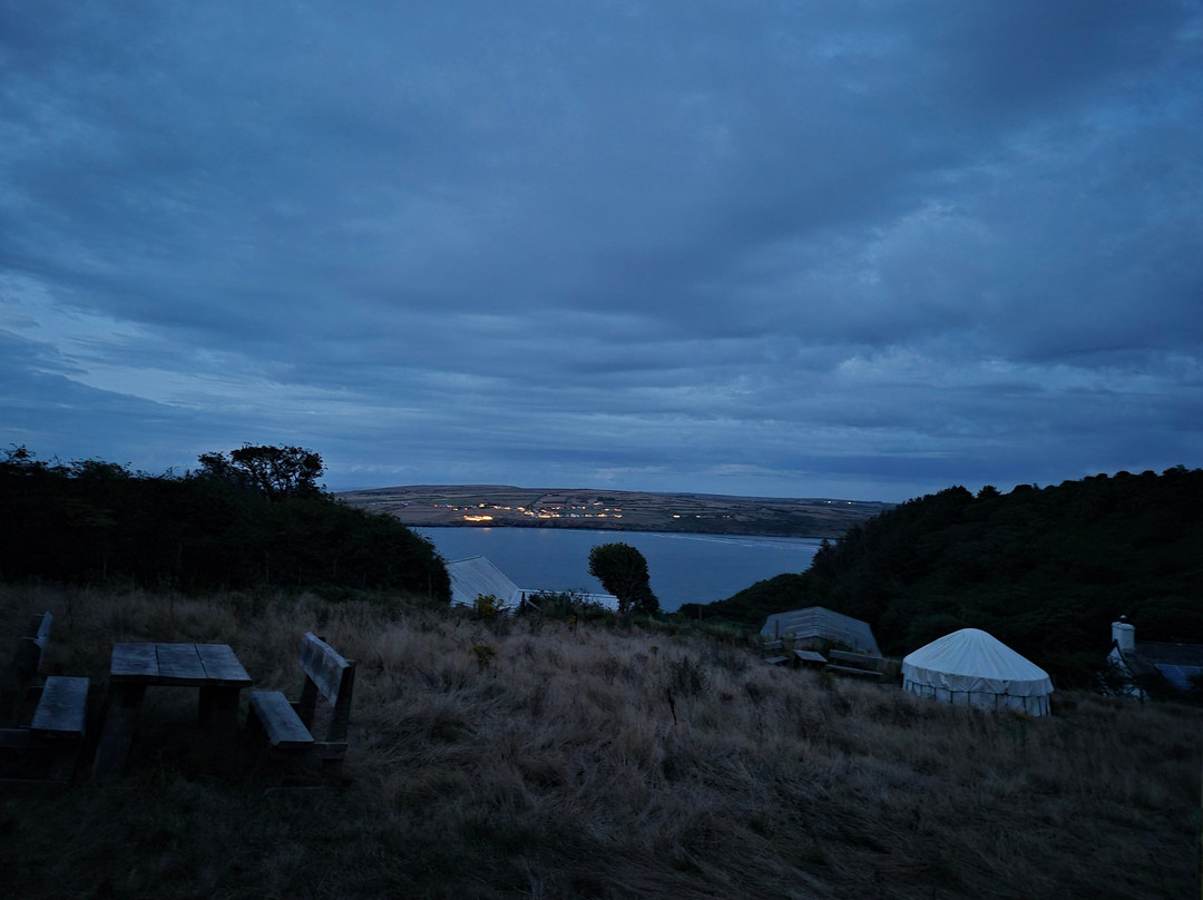 Alltycoed Campsite & Yurts