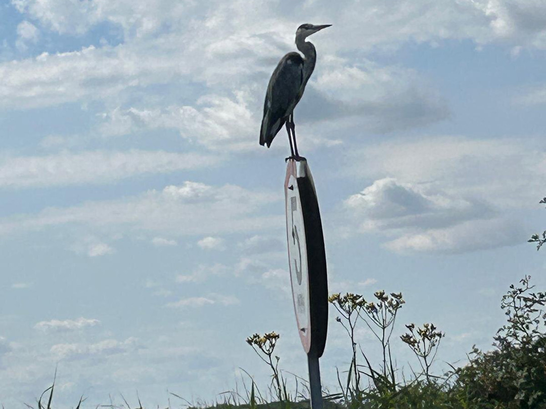 The Broads National Park-诺威奇必去景点