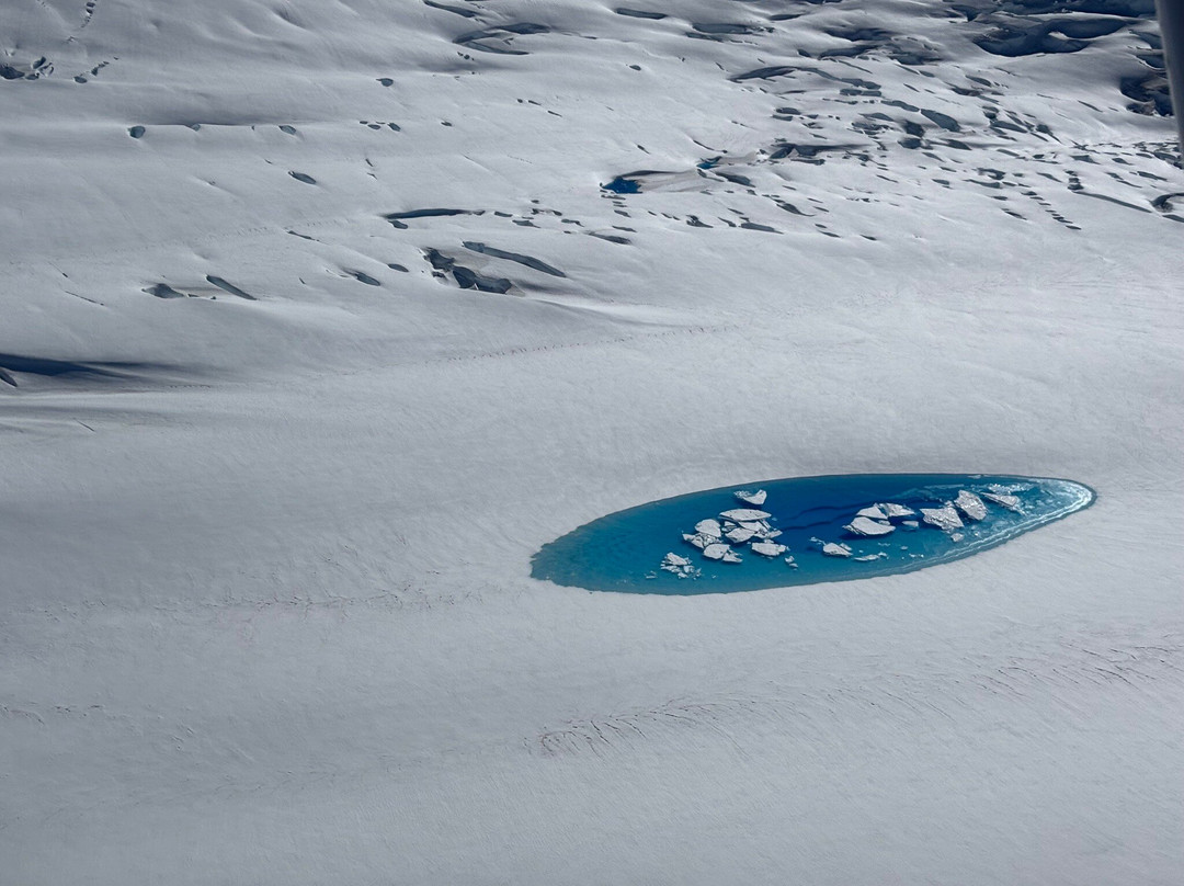 Icefield Discovery-海恩斯章克申必去景点