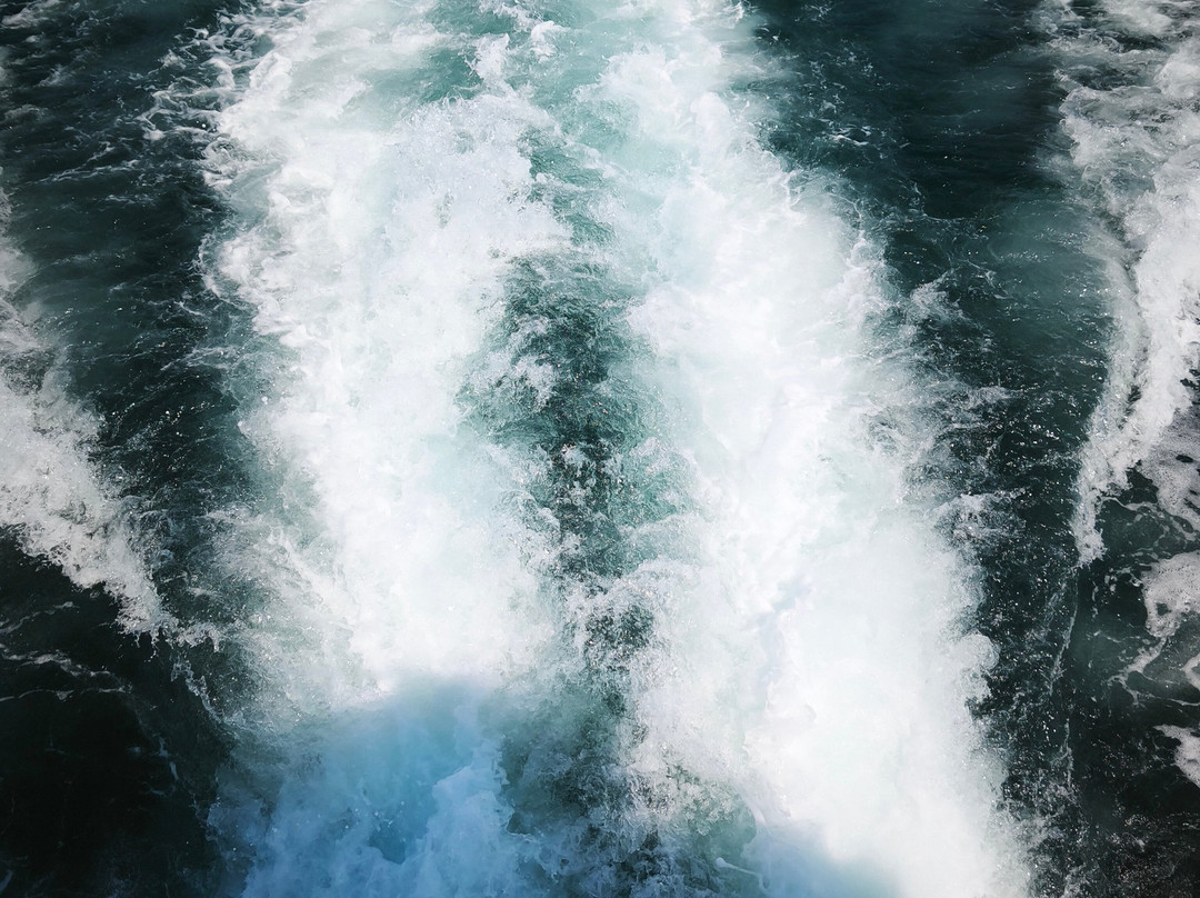 Albatros Escursioni-Porto Garibaldi必去景点