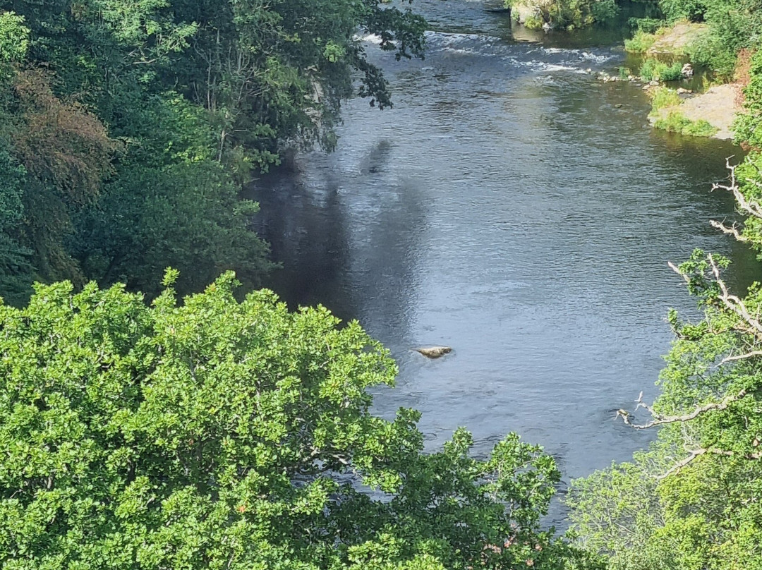 Pontcysyllte Aqueduct-兰戈伦必去景点