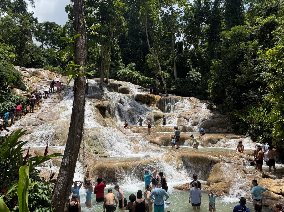 Dunn's River Falls and Park-奥乔里奥斯必去景点