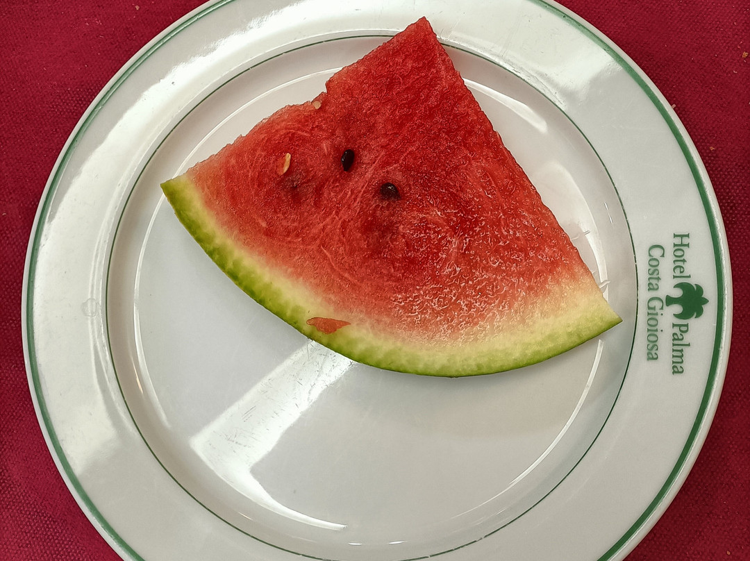 Hotel Palma Costa Gioiosa主图
