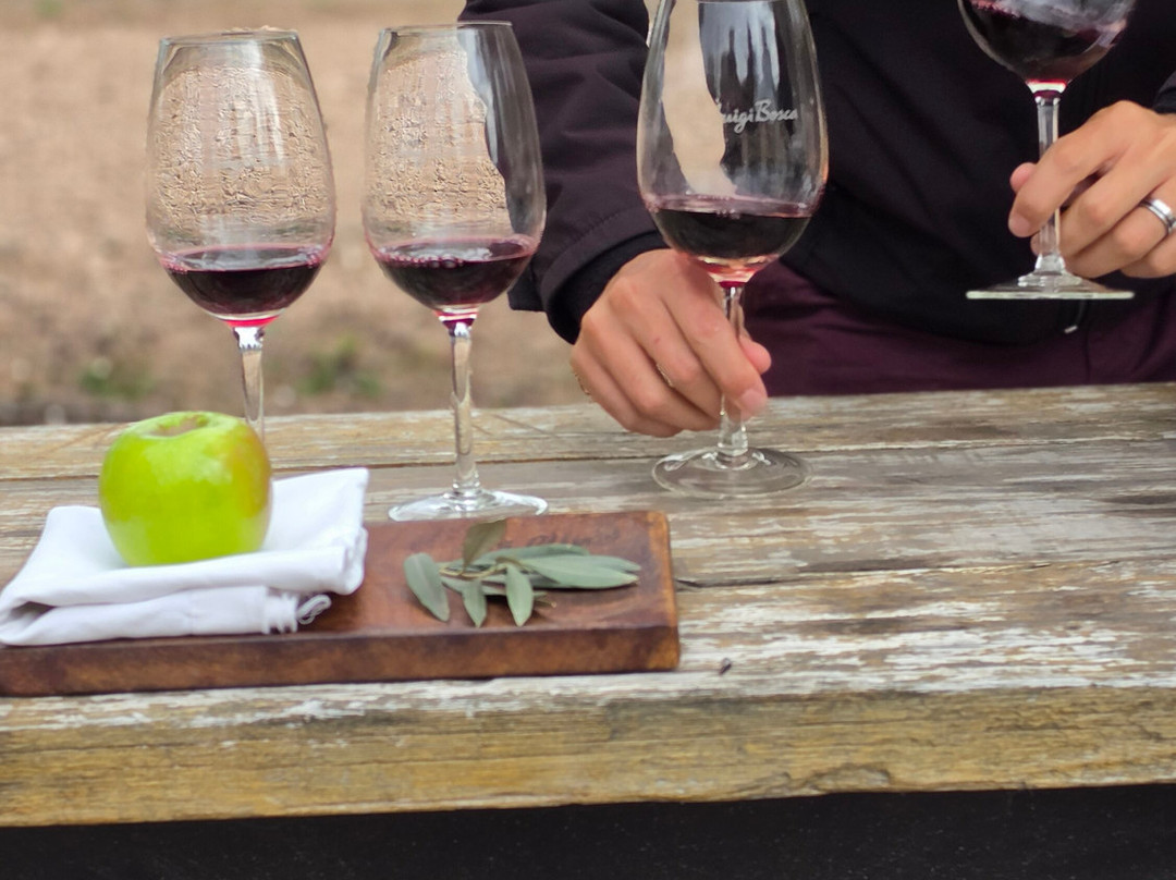 Finca El Paraíso - Bodega Luigi Bosca-Maipu必去景点