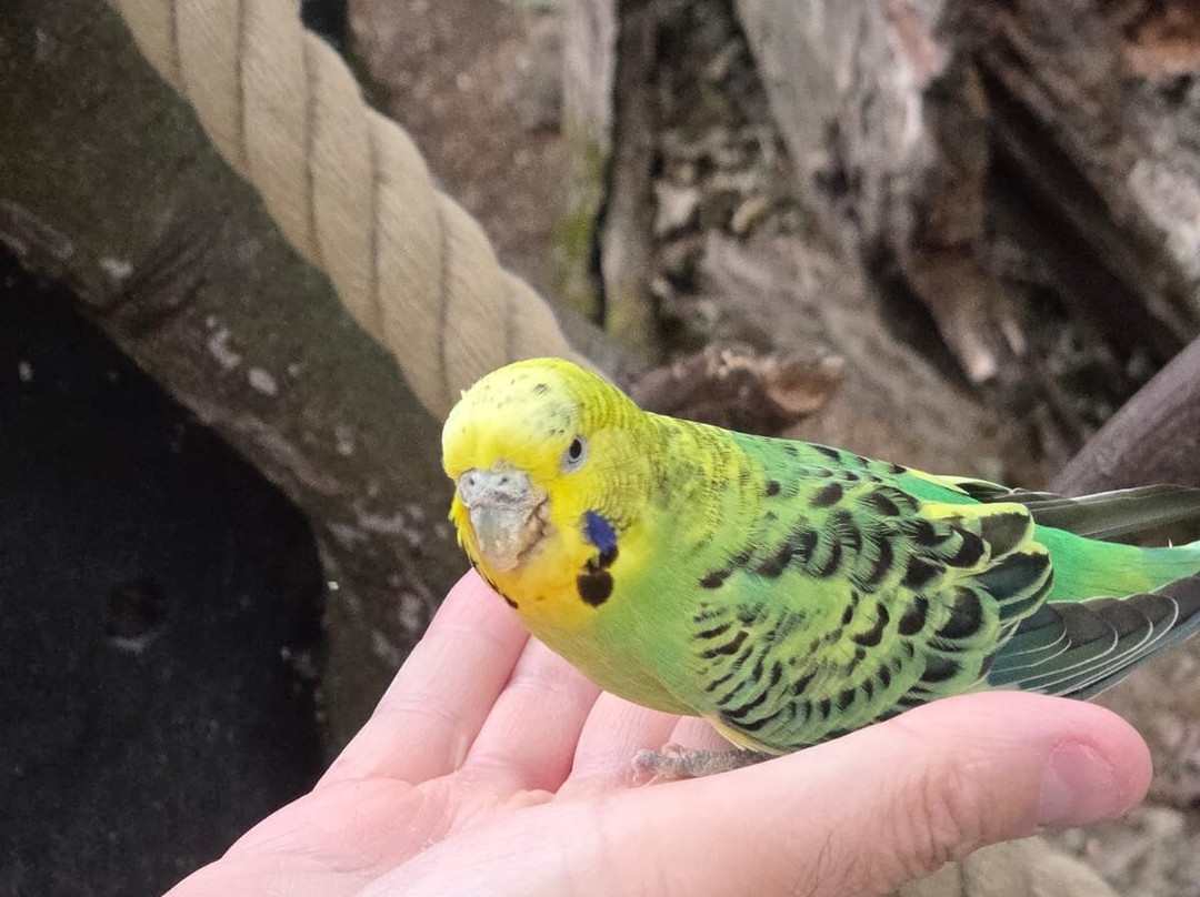 Zoo Salzburg-安妮夫必去景点