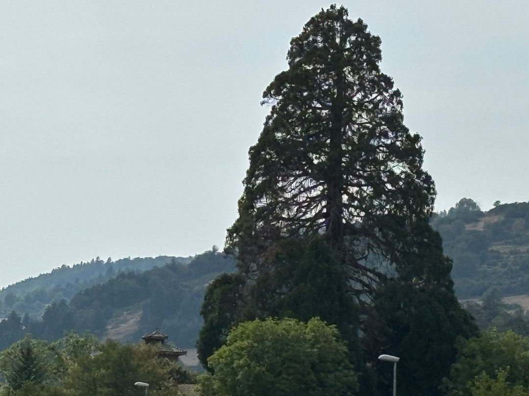 Parc Naturel Régional du Pilat-Pelussin必去景点