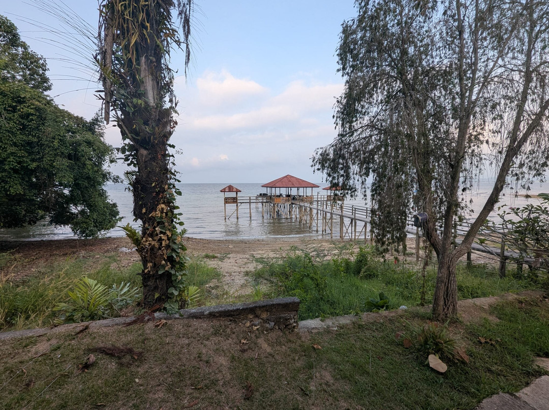 Dolidi Ndano Towale主图