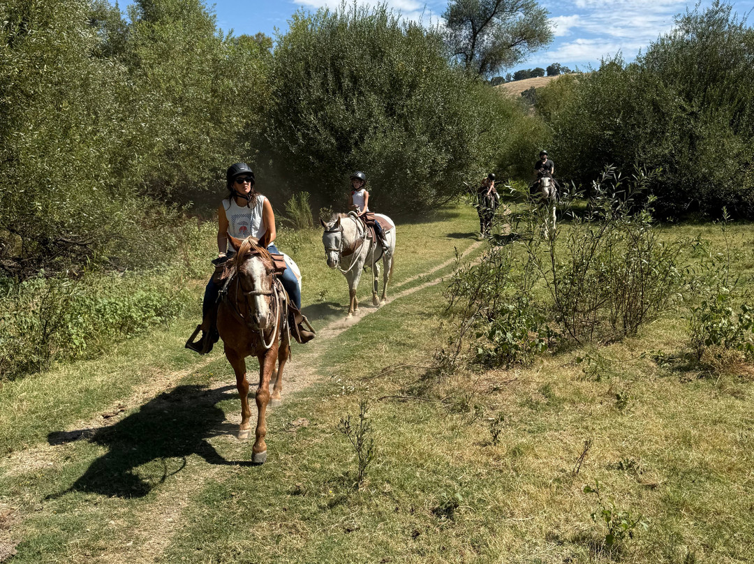 Central Coast Trailrides-帕索罗布尔斯必去景点