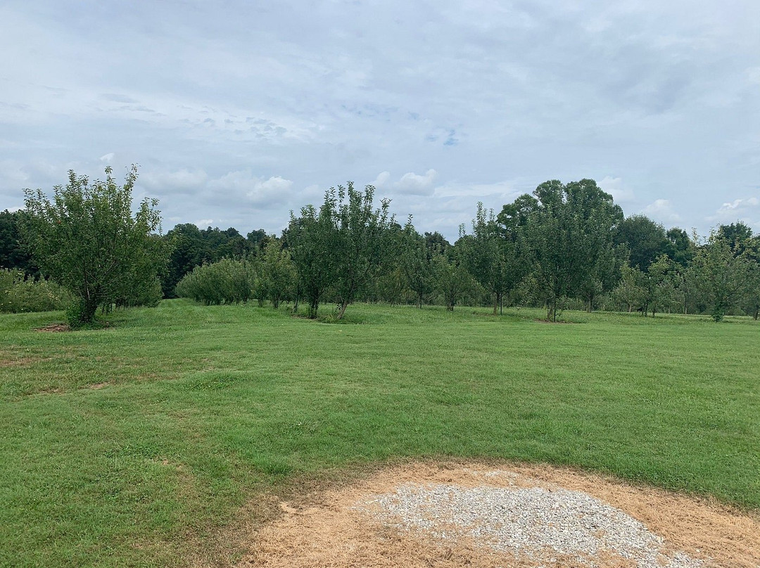 Haney's Appledale Farm-Nancy必去景点