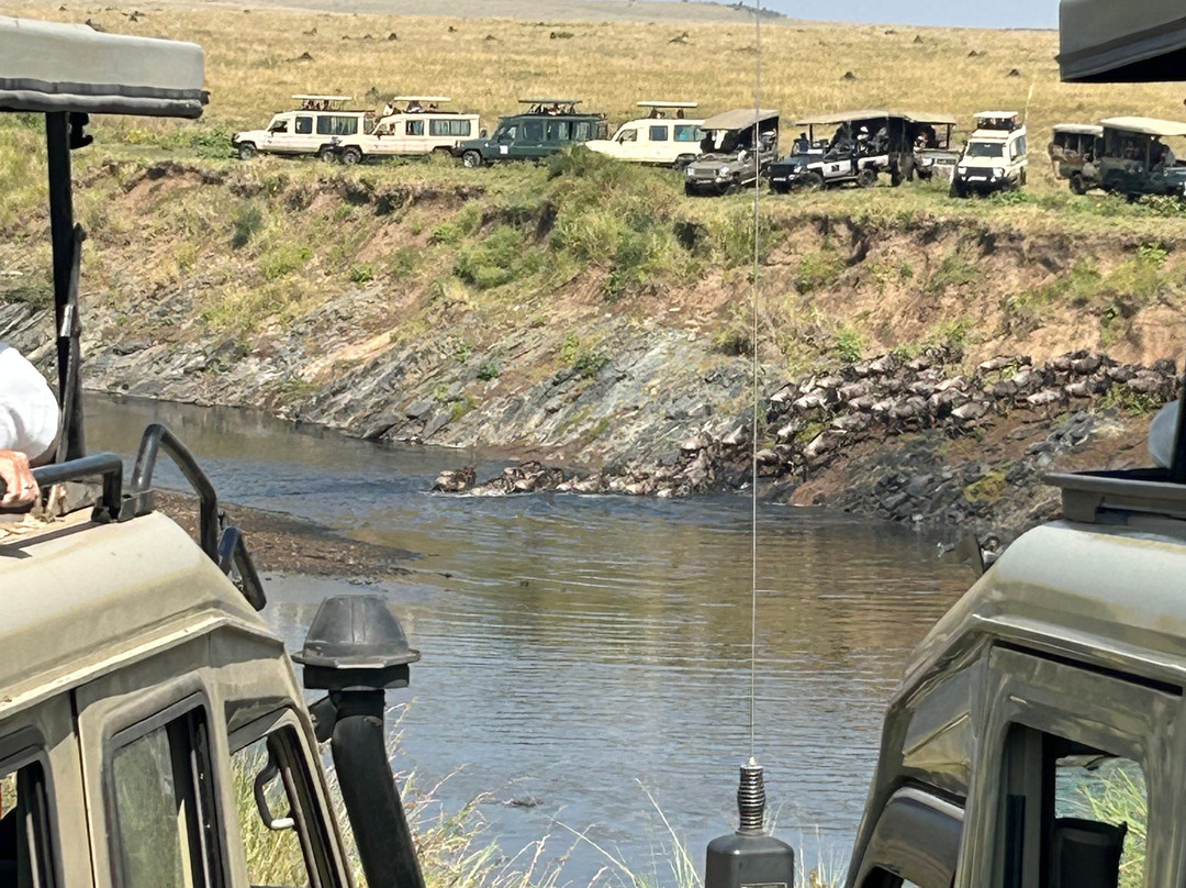 Mara River-马赛马拉国家野生动物保护区必去景点