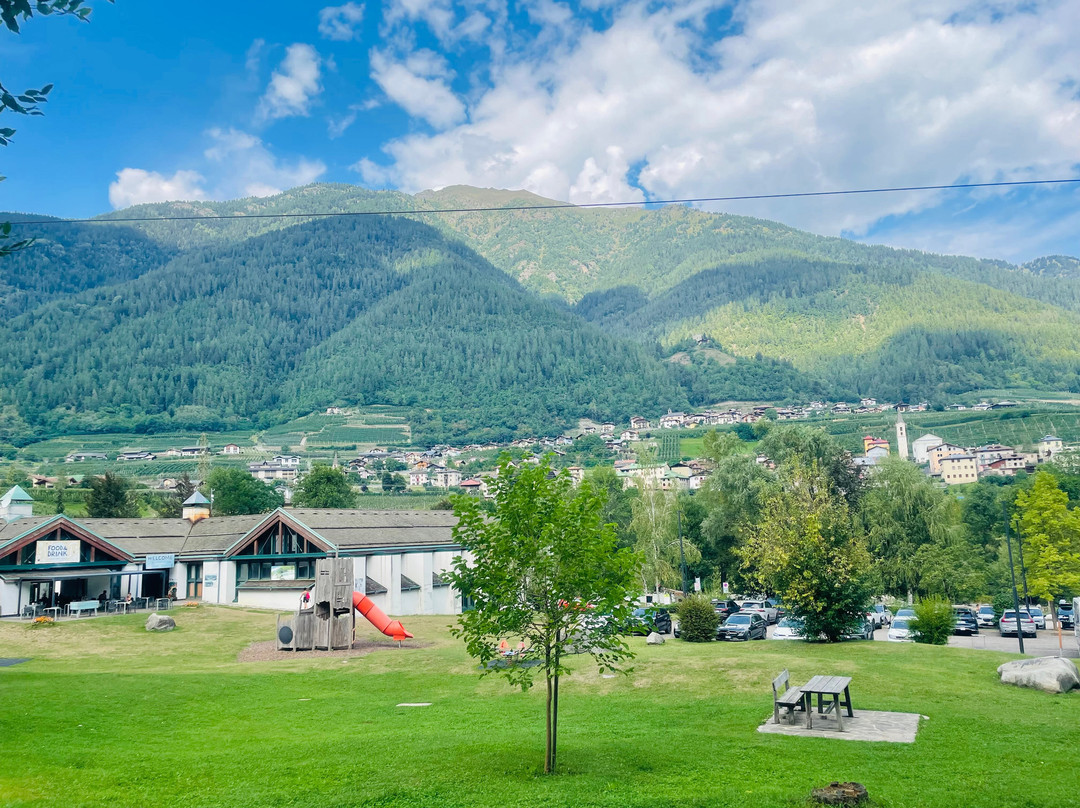 Trentino WILD - Rafting & Outdoor-Dimaro Folgarida必去景点