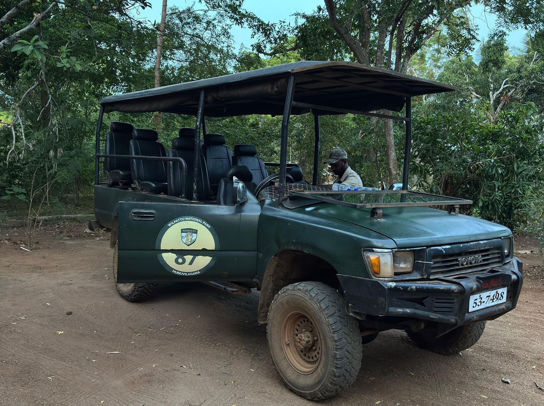 Wilpattu Safari Jeep-Wilpattu National Park必去景点