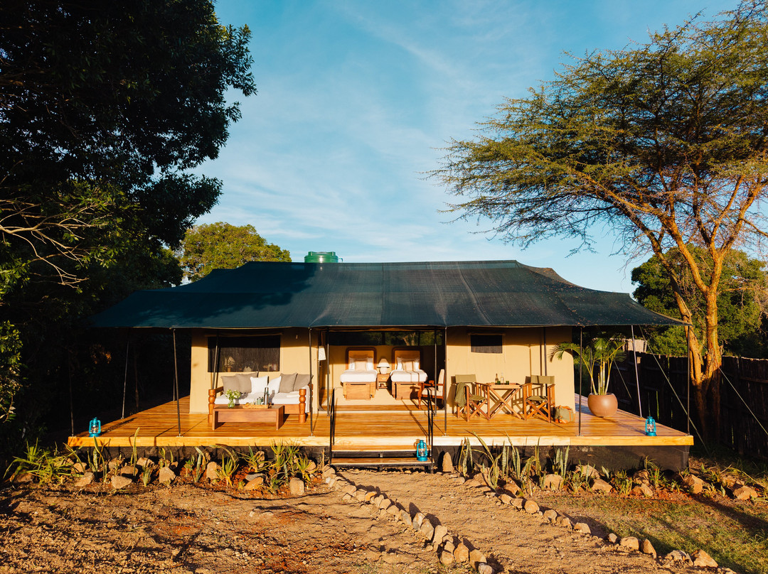 Offbeat Mara Camp