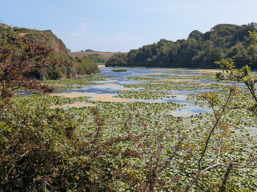 Lily Ponds-Bosherston必去景点