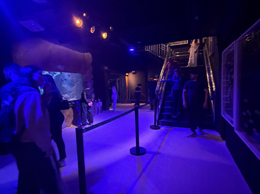 Oceanic Aquarium-康泊琉海水浴场必去景点