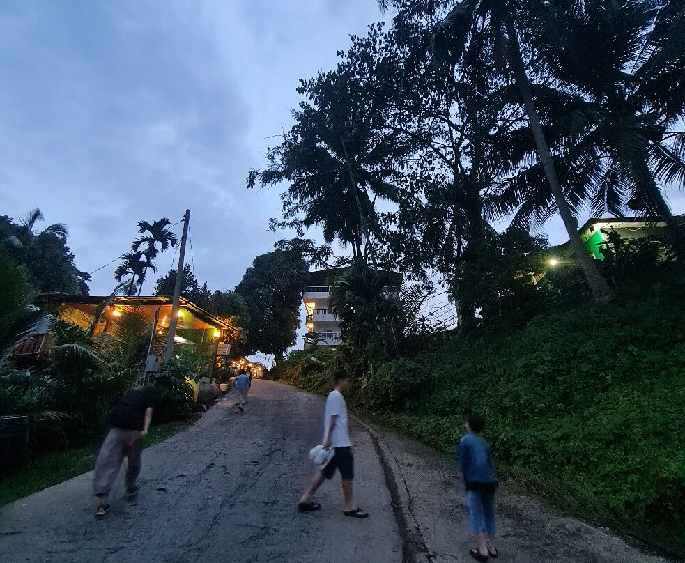 Taman Negara National Park-彭亨必去景点