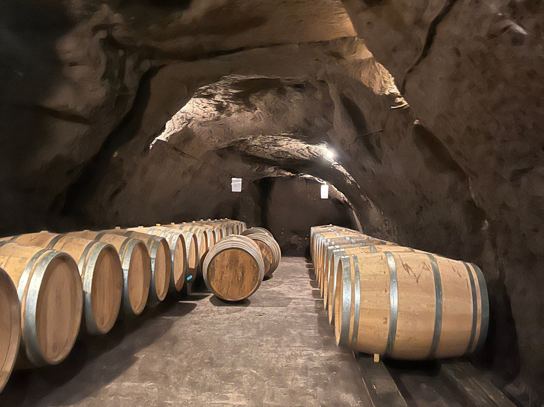 Le Tasting Room Wine - Day Tours-Noizay必去景点