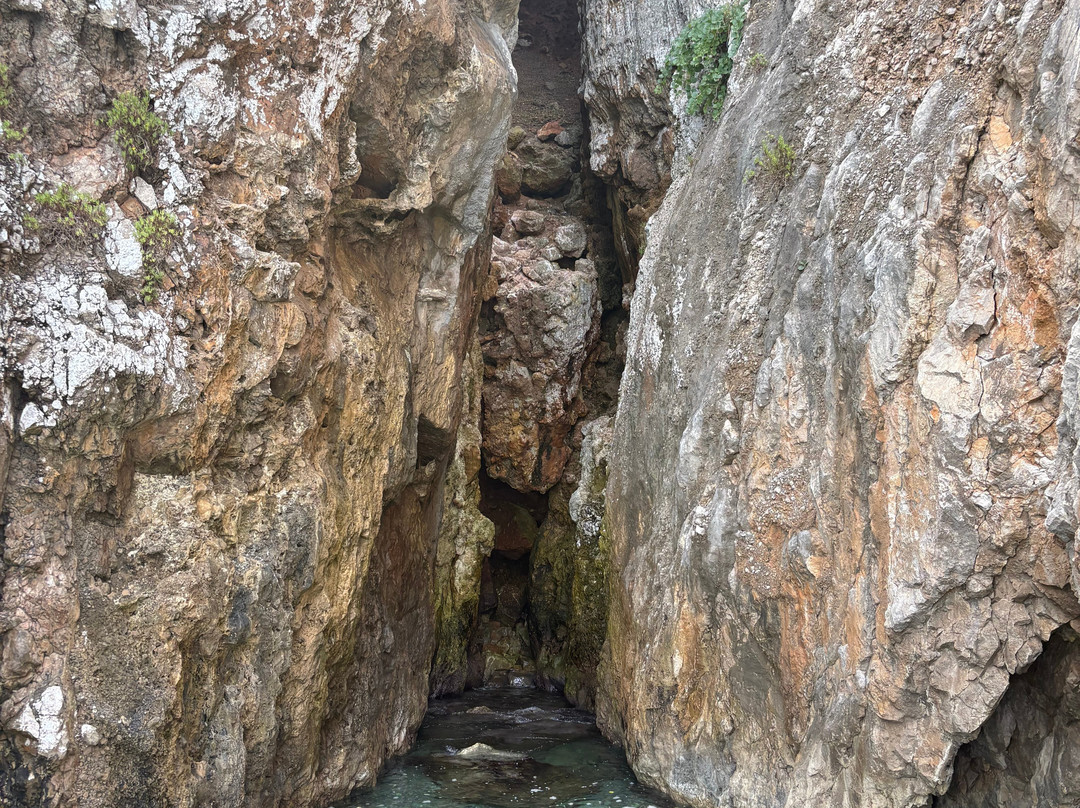 Alexsea experience & fishing tourism-Methoni必去景点