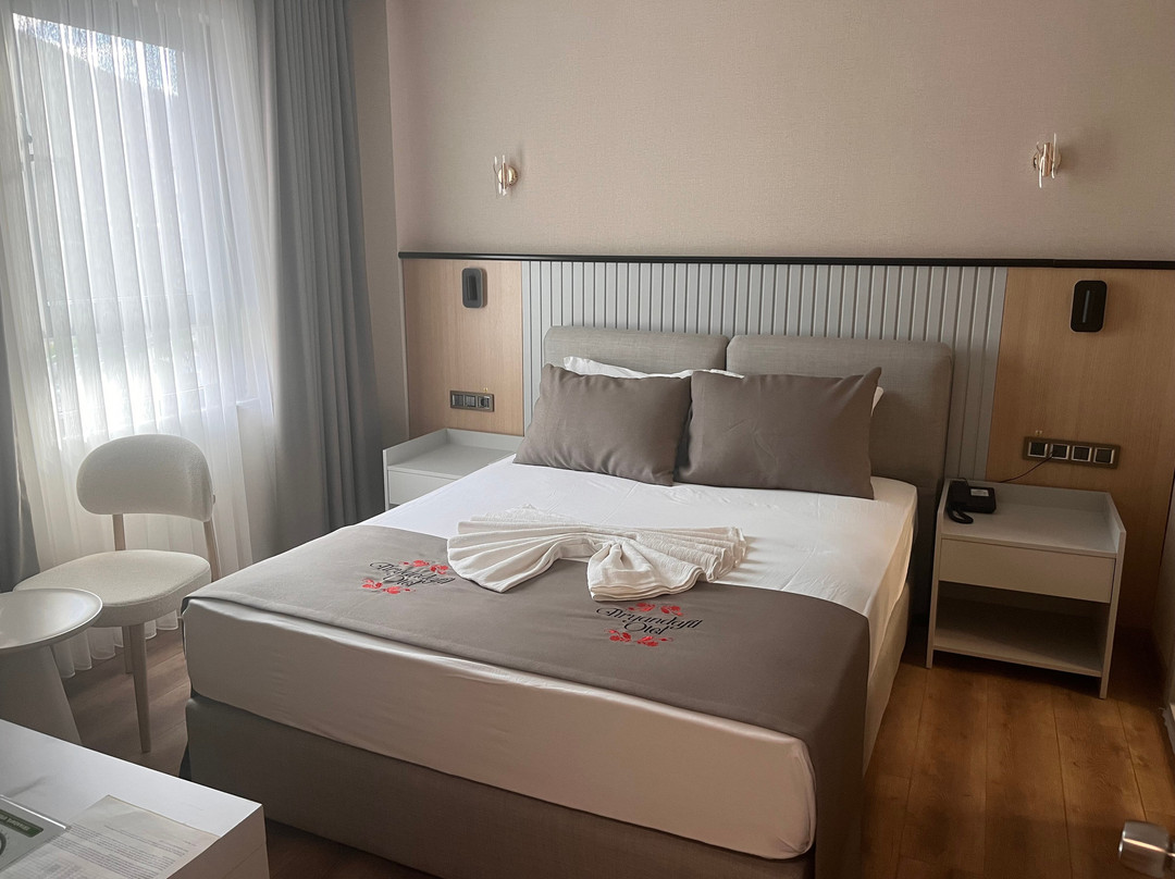 Darende酒店住宿-Tiryandafil Otel
