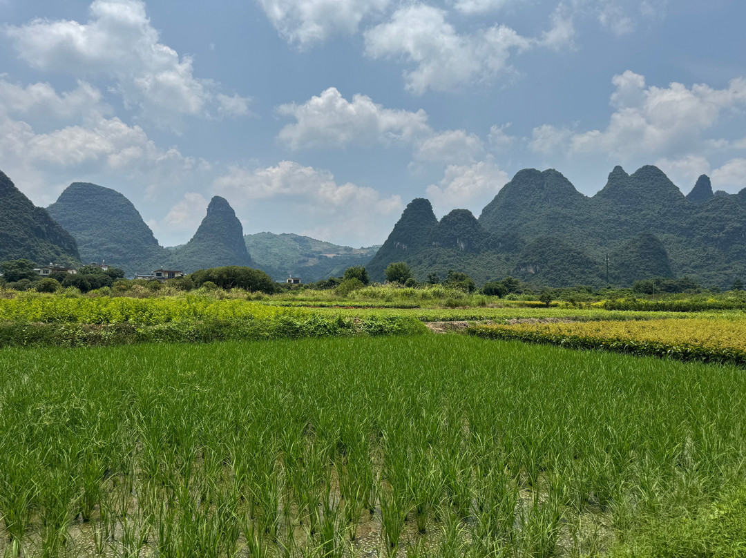 阳朔古迹山水园-阳朔县必去景点