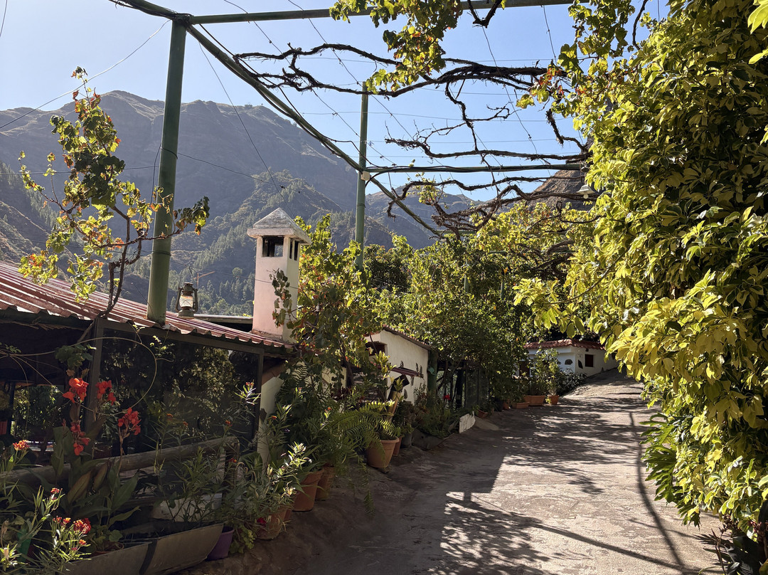 Bodega Los Berrazales-Agaete必去景点