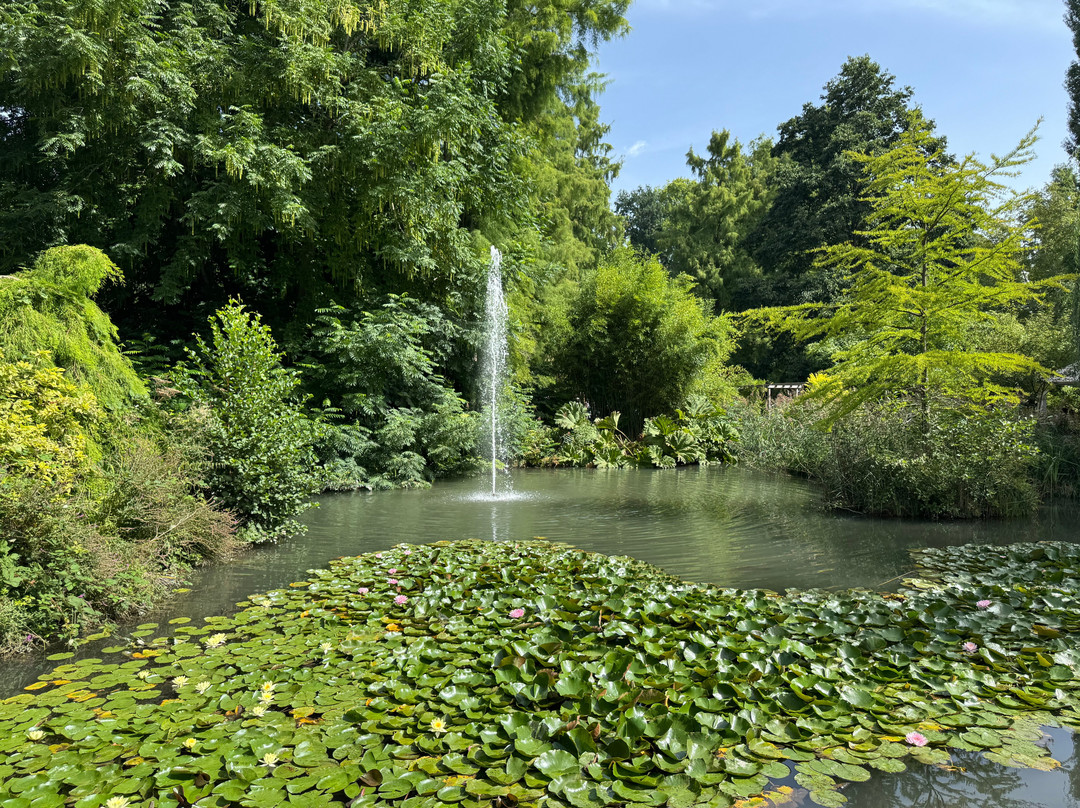 Isle of Mainau-康士坦茨必去景点