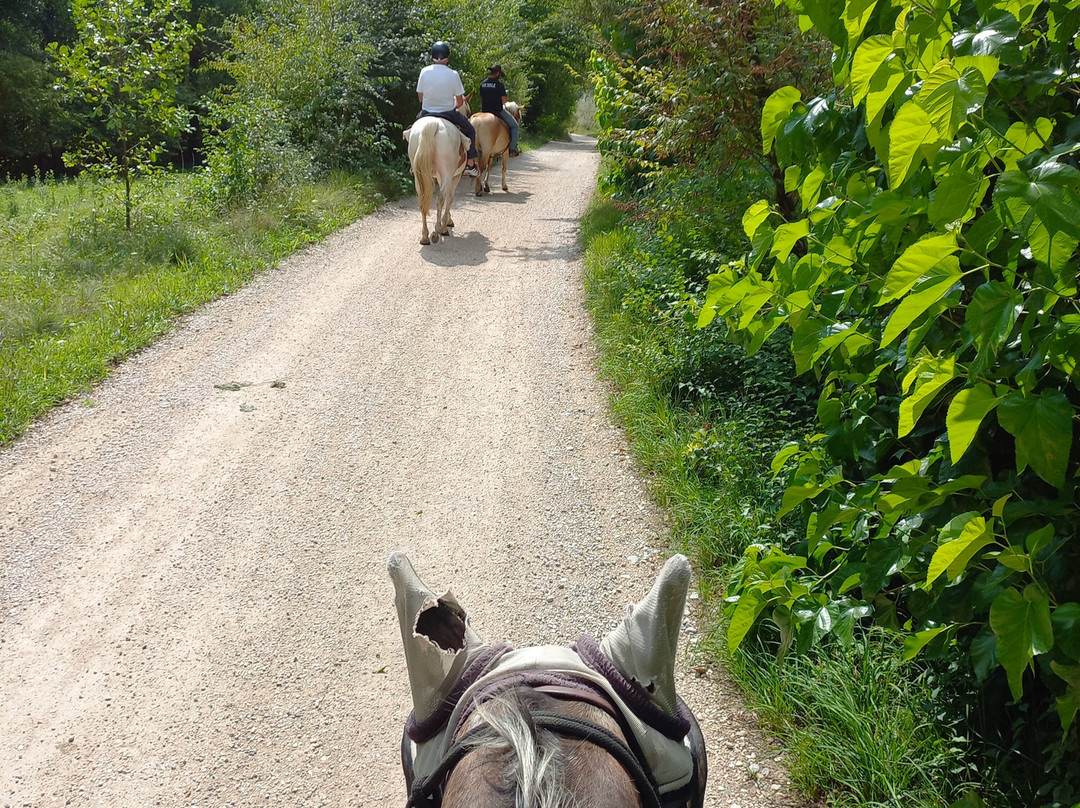 Ranch Val Di Ronch-Rolle必去景点