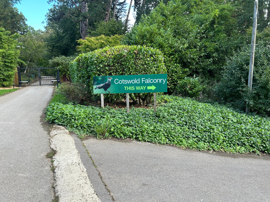 Cotswold Falconry Centre-莫顿因马什必去景点