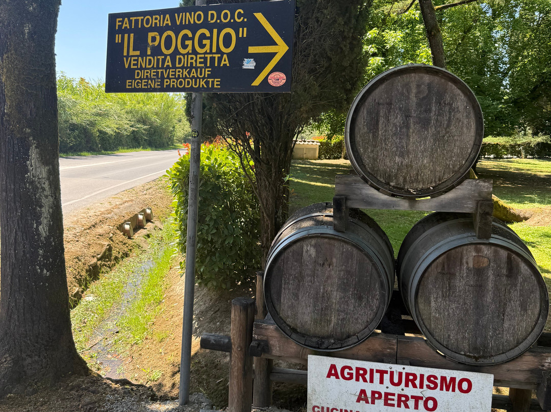 Fattoria Il Poggio-Montecarlo必去景点