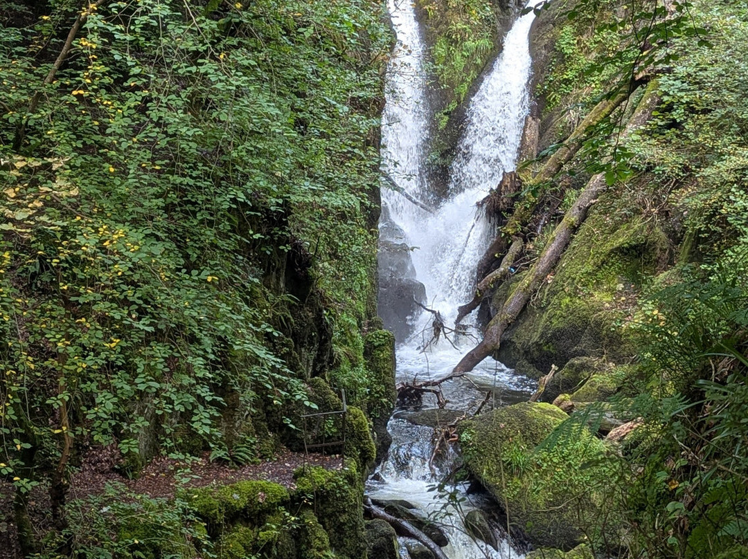 Stock Ghyll Force-安布赛德必去景点