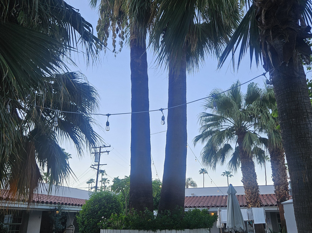 棕榈泉潜水酒店主图
