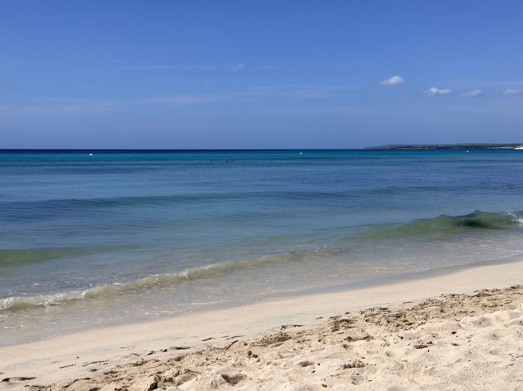 Platja d'es Trenc-Campos必去景点