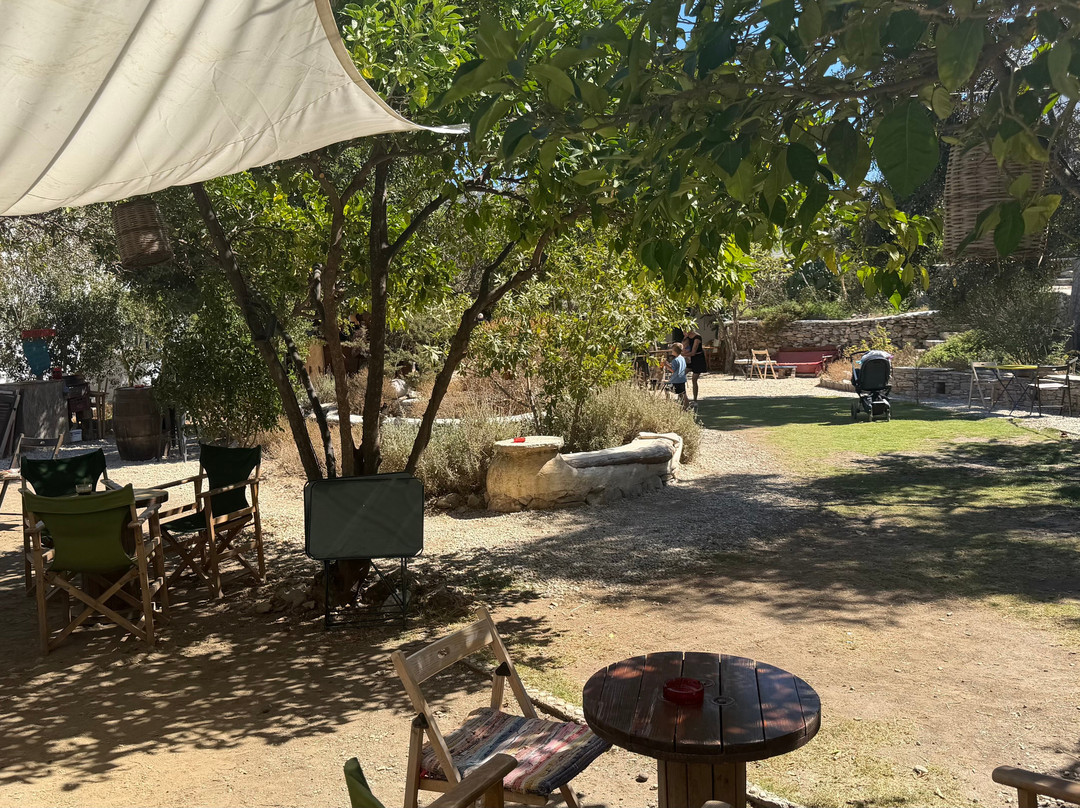 Amorgos Botanical Park-Katapola必去景点